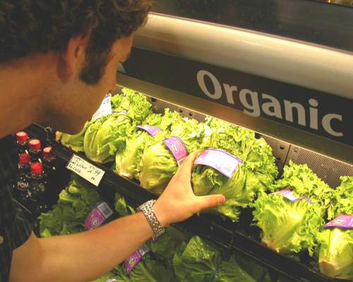 5 cheap options for organic food