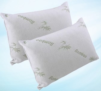 2-pack Bamboo pillows for $20