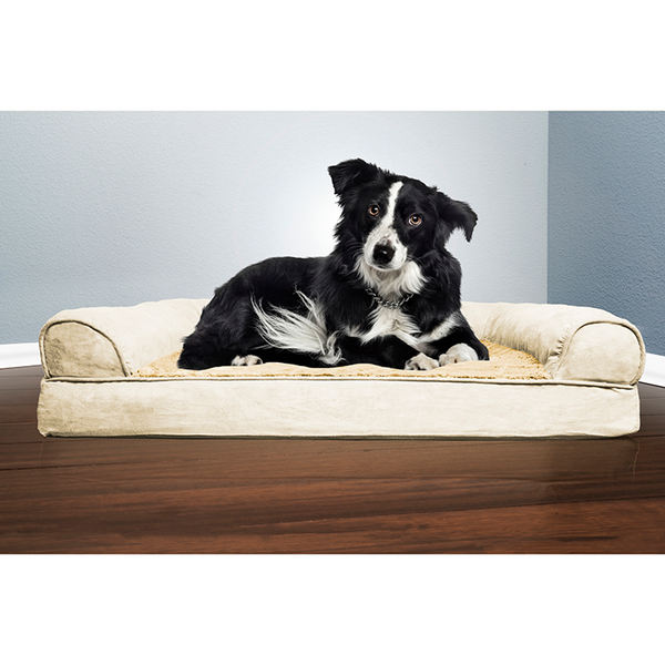 Pet beds for as low as $5 at Tanga