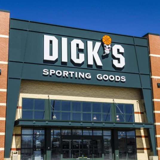 Dick’s Sporting Goods: Take 25% off everything for Black Friday + FREE shipping!
