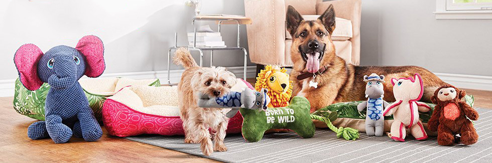 Save up to 40% off sitewide at Petco