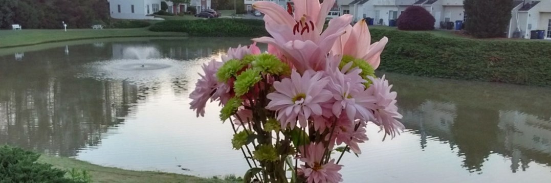 Aldi’s $3.99 flowers make a great early Mother’s Day gift!