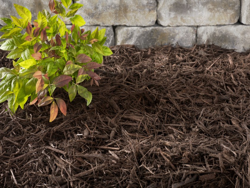 Bags of mulch for $2 at Lowe’s Home Improvement
