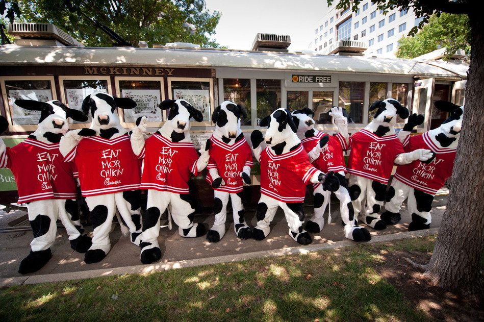 Get FREE Chick-fil-A TODAY for “Cow Appreciation Day”!