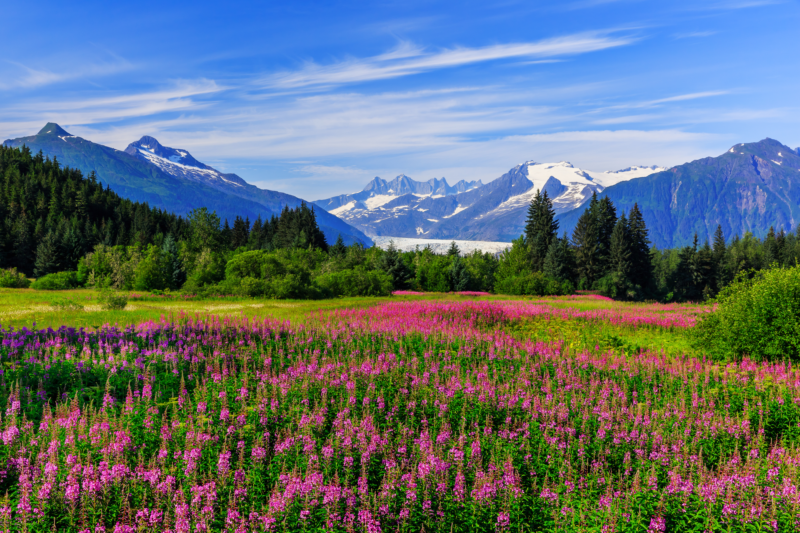 Alaska Toursaver: Save thousands on sightseeing in Alaska