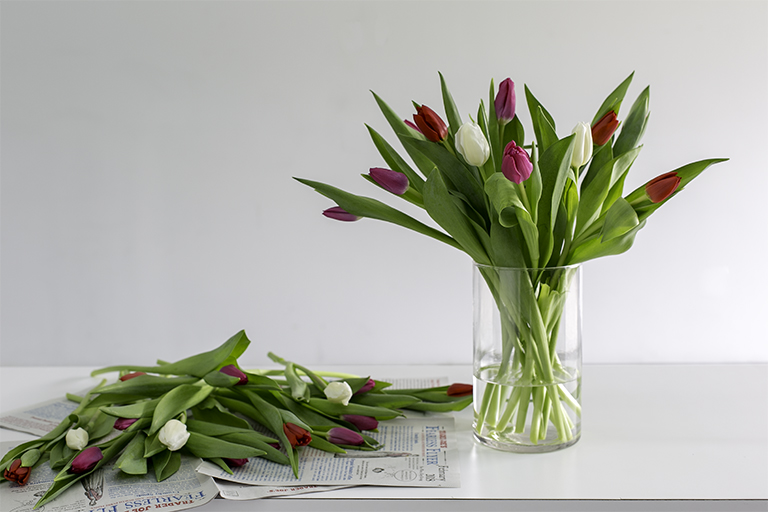 Valentine’s Day flower deal: Two dozen tulips for $10.99