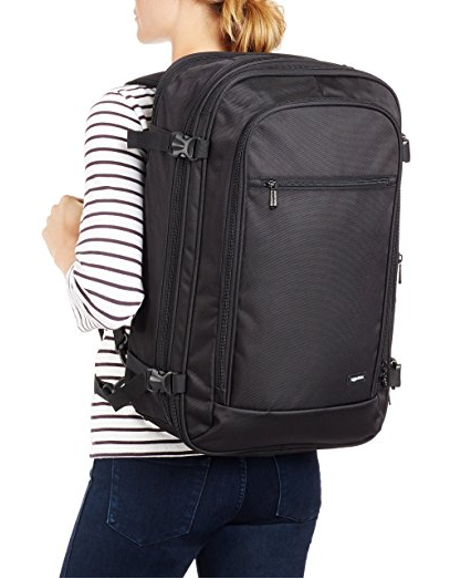 amazon basics travel bag