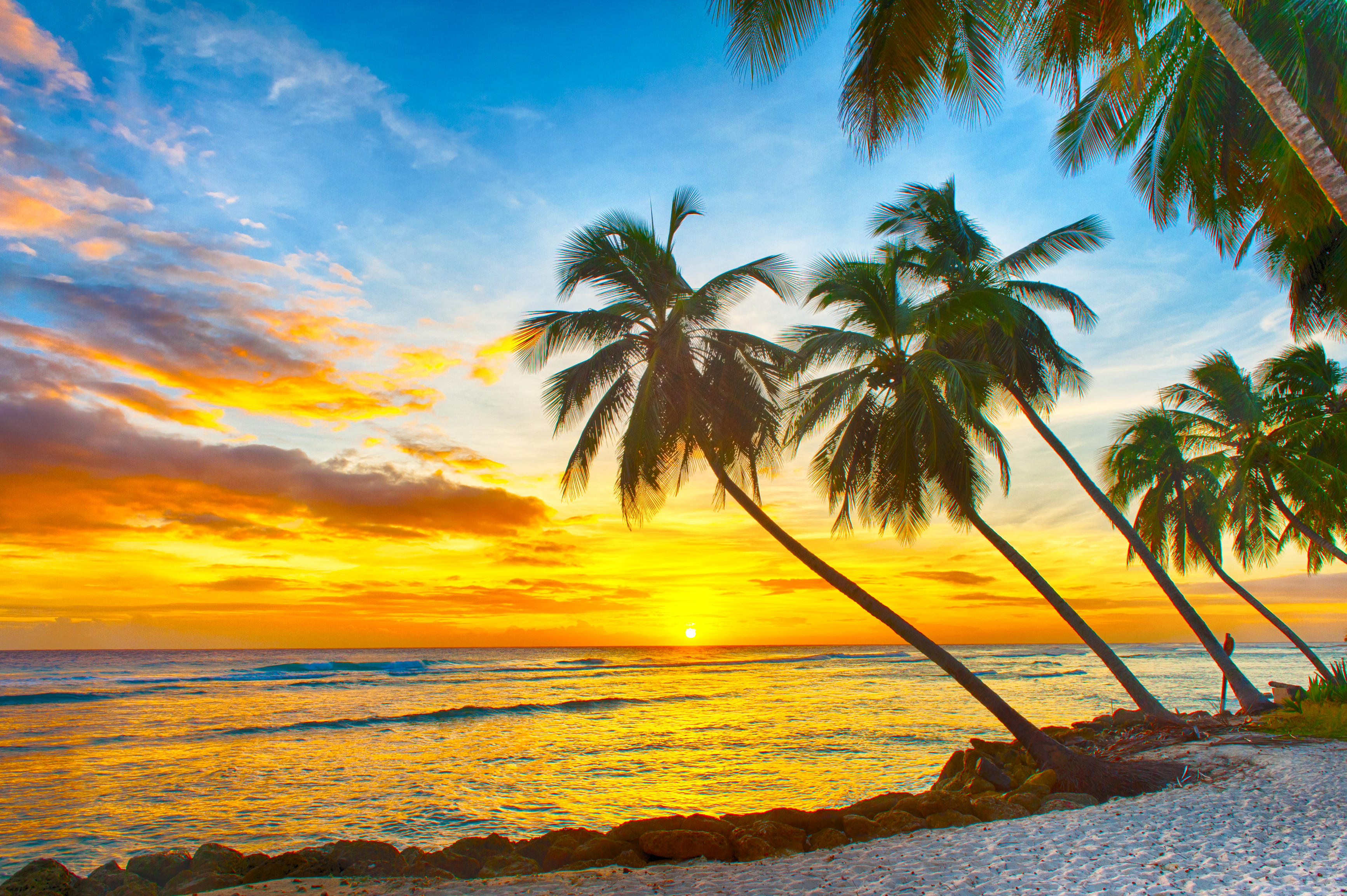 Flights to Barbados in the $200s & low $300s round-trip!