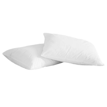 2-pack memory white duck pillows for $10
