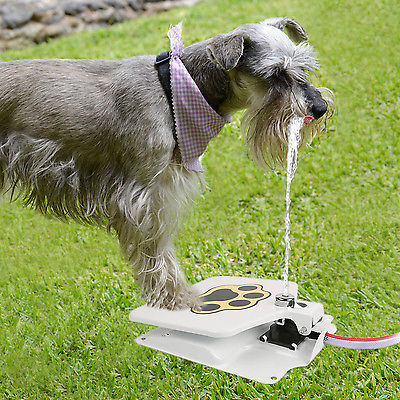 Dog pet water fountain for $23, free shipping