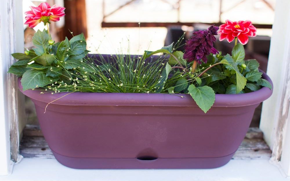 Today only: Select planters and window boxes from $10