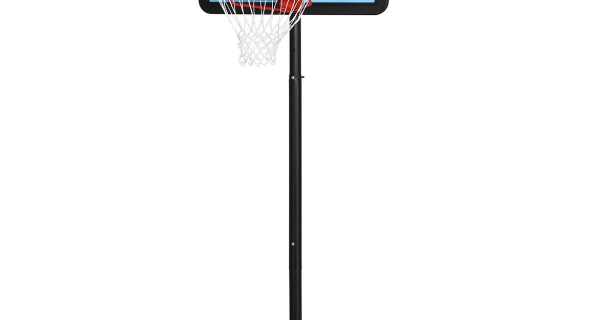 Lifetime adjustable portable basketball hoop for $80