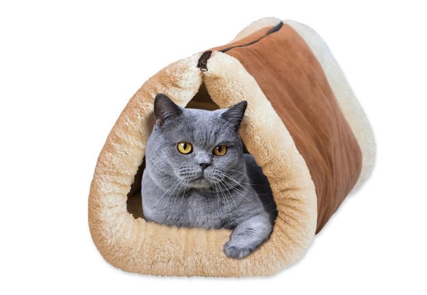 2-in-1 pet tunnel bed and mat for $3