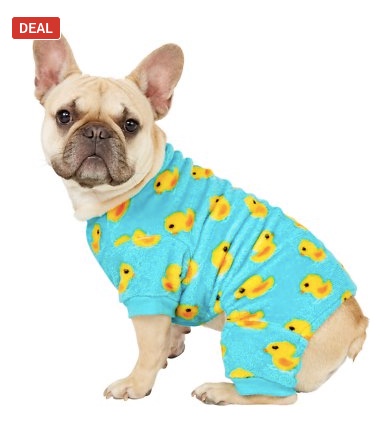 Save up to 50% on dog clothing & accessories at Chewy