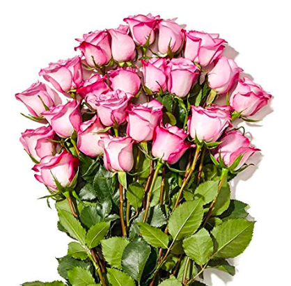 Prime members: Two dozen roses for $20 at Whole Foods