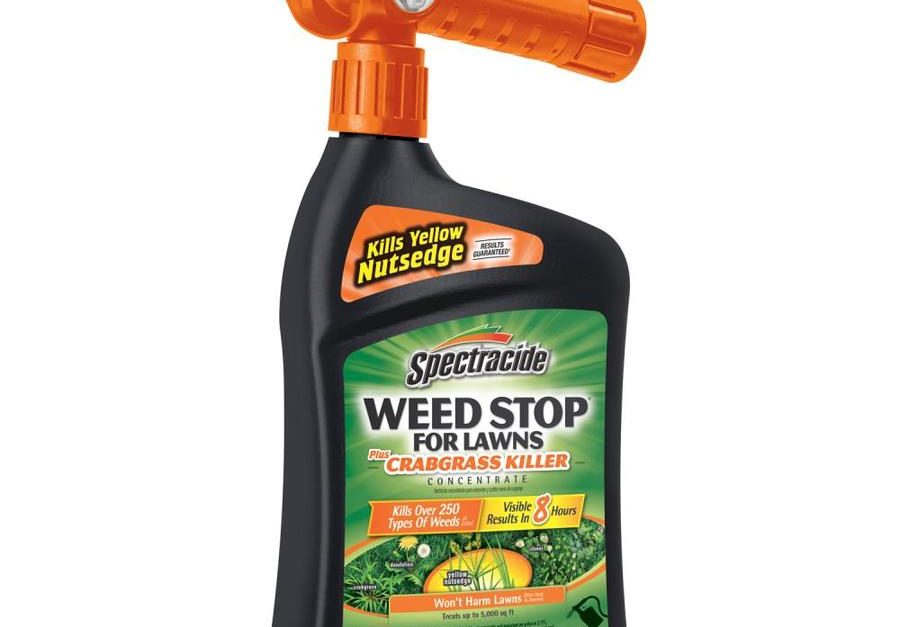 Spectracide weed stop for $5