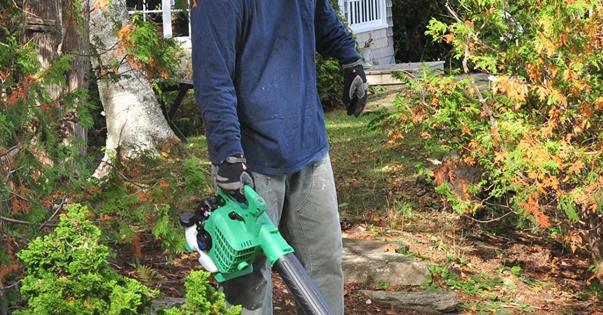 Today only: Hitachi gas powered leaf blower for $97