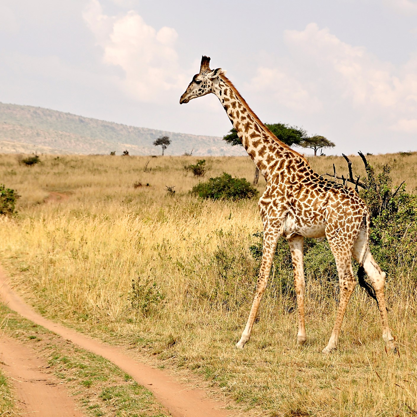 7-night Nairobi, Wildlife Safari & Nyahururu tour with flights from $1,999