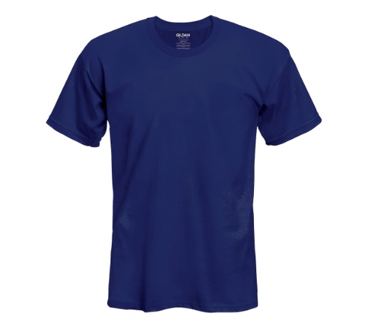 Gildan short sleeve adult t-shirt in multiple colors for $2, free store pickup