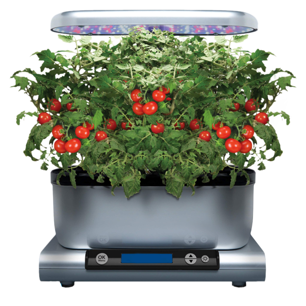 Today only: AeroGarden Harvest Premium with 6-Pod Gourmet Herbs for $79