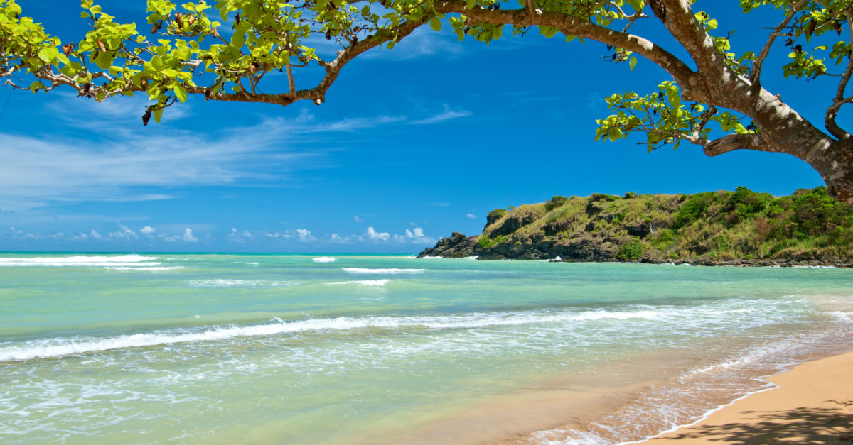 Flights to Puerto Rico in the $100s & $200s round-trip