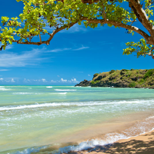 Flights to Puerto Rico in the $100s & $200s round-trip
