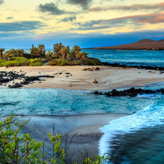 10-night Galapagos Islands escape with airfare, hotels & transport from $1,724