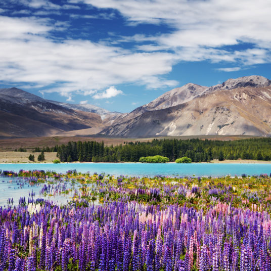 Air New Zealand sale: Save up to 50% on flights to New Zealand and Australia