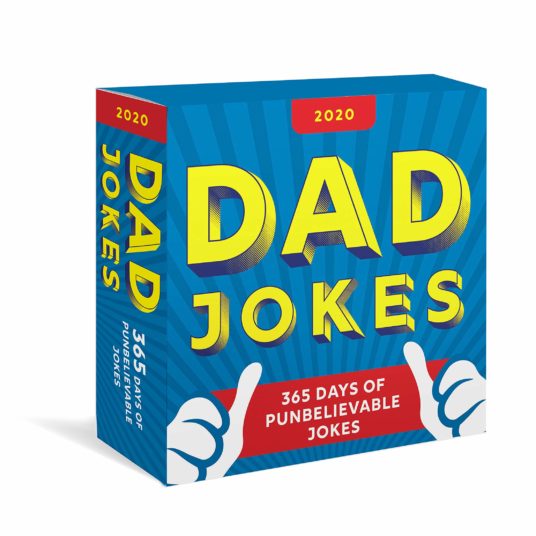 2020 Dad Jokes boxed calendar for $8