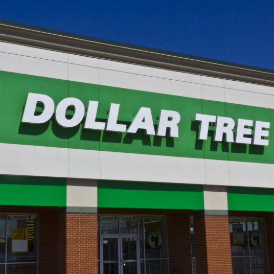 The best finds at Dollar Tree right now