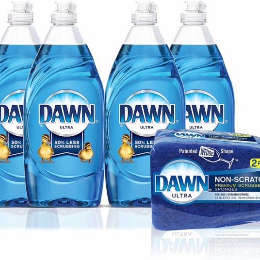 4-count Dawn dish soap + 2 sponges for $9