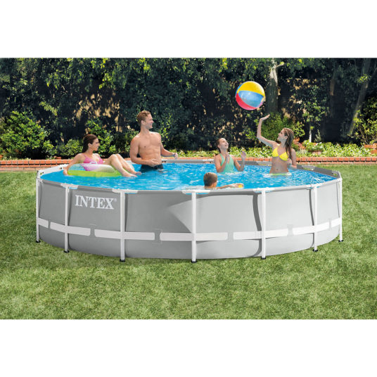 Intex Prism 15ft x 42in round pool for $300