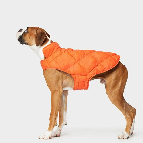 Get a FREE dog vest with jacket purchase from 32 Degrees