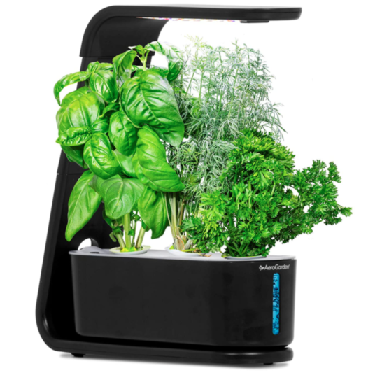 Today only: AeroGarden Sprout indoor LED garden for $60