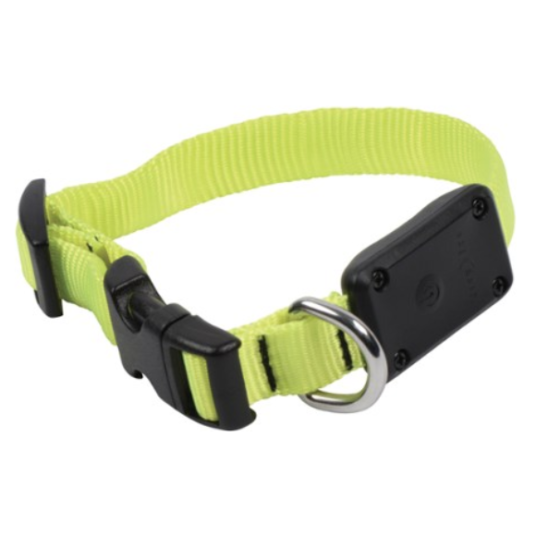 Today only: Nite Ize LED dog collar for $7, free shipping