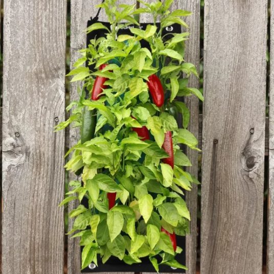 Touch of Eco hanging growing kits from $17