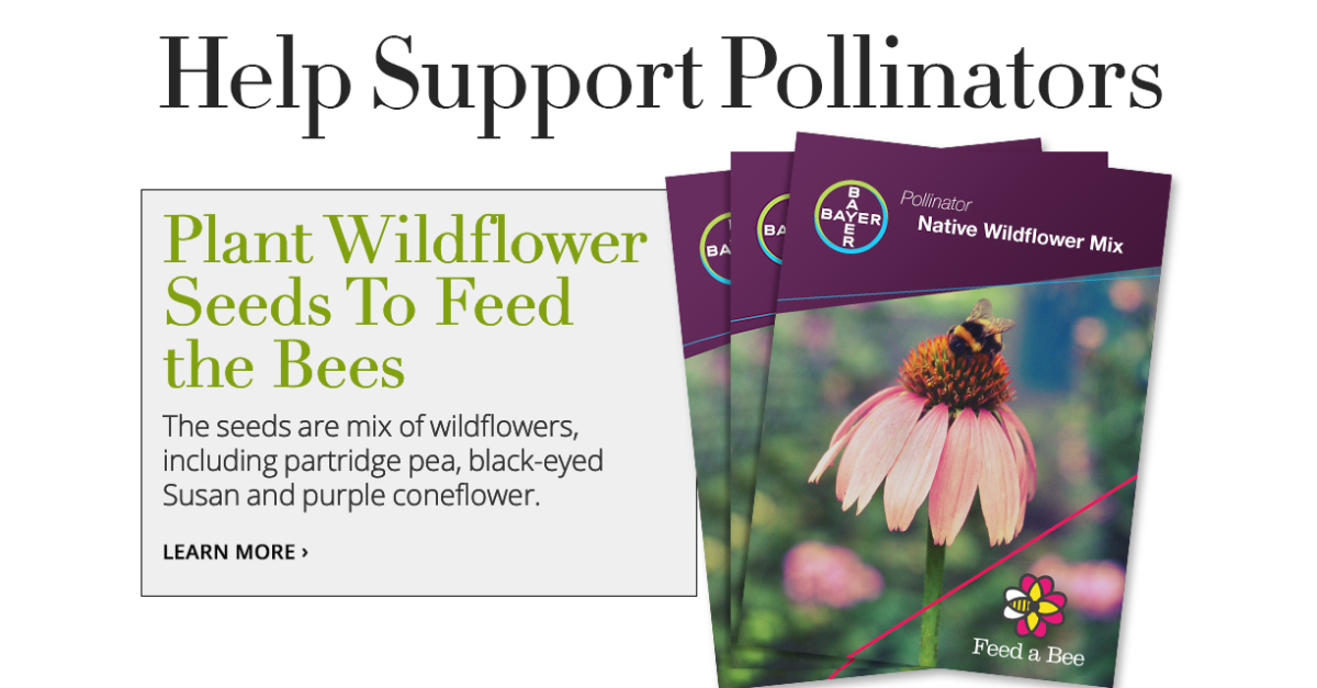 FREE wildflower seed mix to help support pollinators