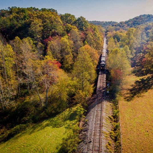 Take in the fall colors on the Blue Ridge Scenic Railway!