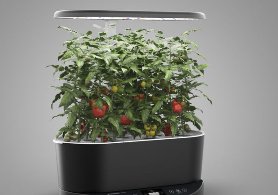 AeroGarden Bounty Basic indoor garden with heirloom salad for $150