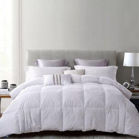 Serta white duck feather & down comforter for $43