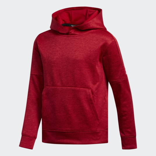 Adidas Team Issue kids pullover hoodie for $18