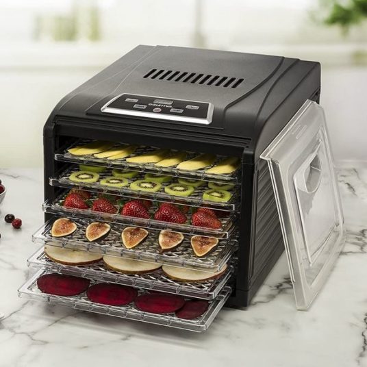 Today only: Gourmia 6-tray premium electric food dehydrator for $52