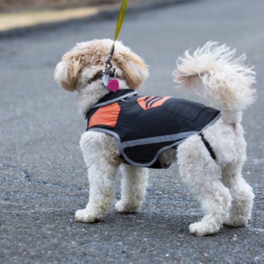 Today only: Stay Warm Apparel 5V rechargeable heated dog vest for $20