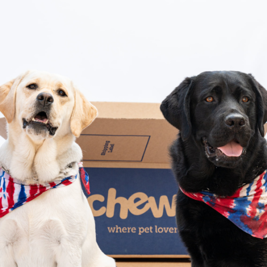 Chewy: Get a $20 eGift card with a $60 dental care purchase