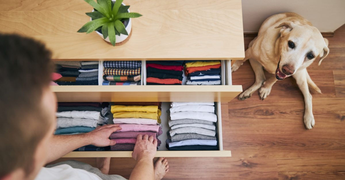 35 great organization items for nearly every room in your home