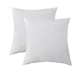 Sonoma Goods For Life 2-pack throw pillow inserts in multiple sizes for $10