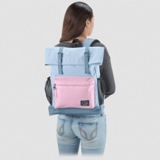 Today only: 2-pack Conair by Ivory Ella backpacks for $20 shipped