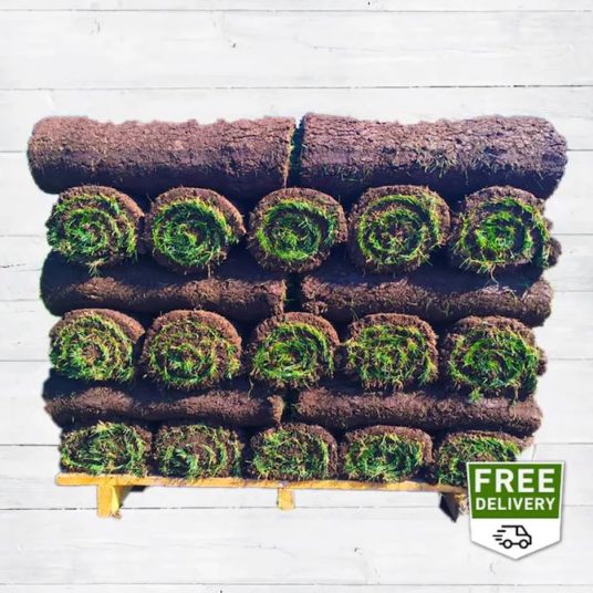 Today only: Select 500-sq ft sod pallets for $439