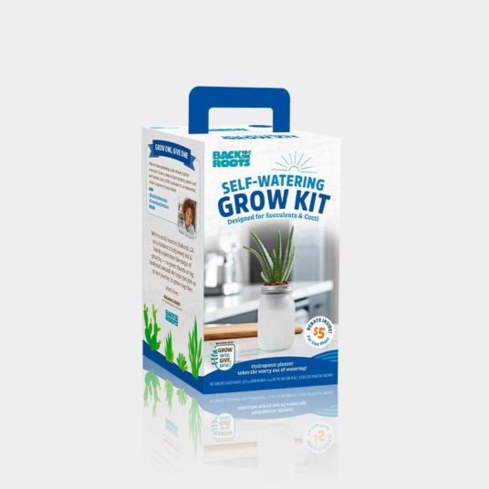 Mini succulent self-watering grow kit for $7