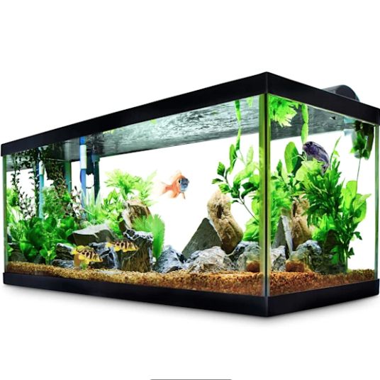 40-gallon Aqueon standard open glass aquarium tank for $45